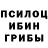 Псилоцибиновые грибы Psilocybine cubensis Pavlo Kiiko