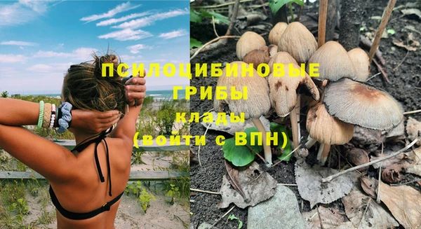круглые Алзамай