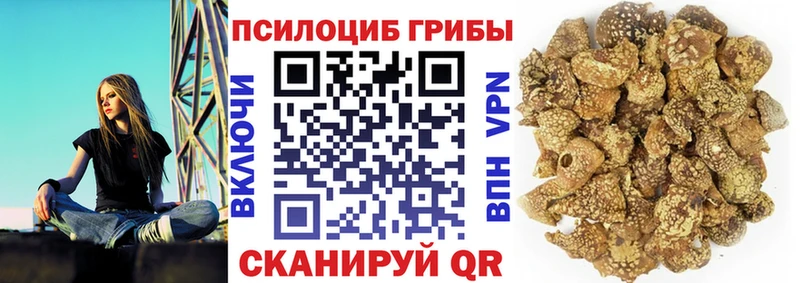 гидра Ветлуга Псилоцибиновые грибы прущие грибы