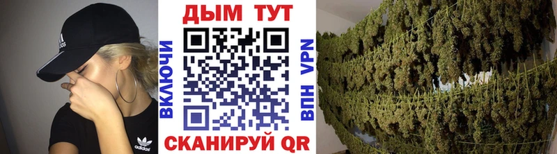 Конопля ГИДРОПОН Ветлуга